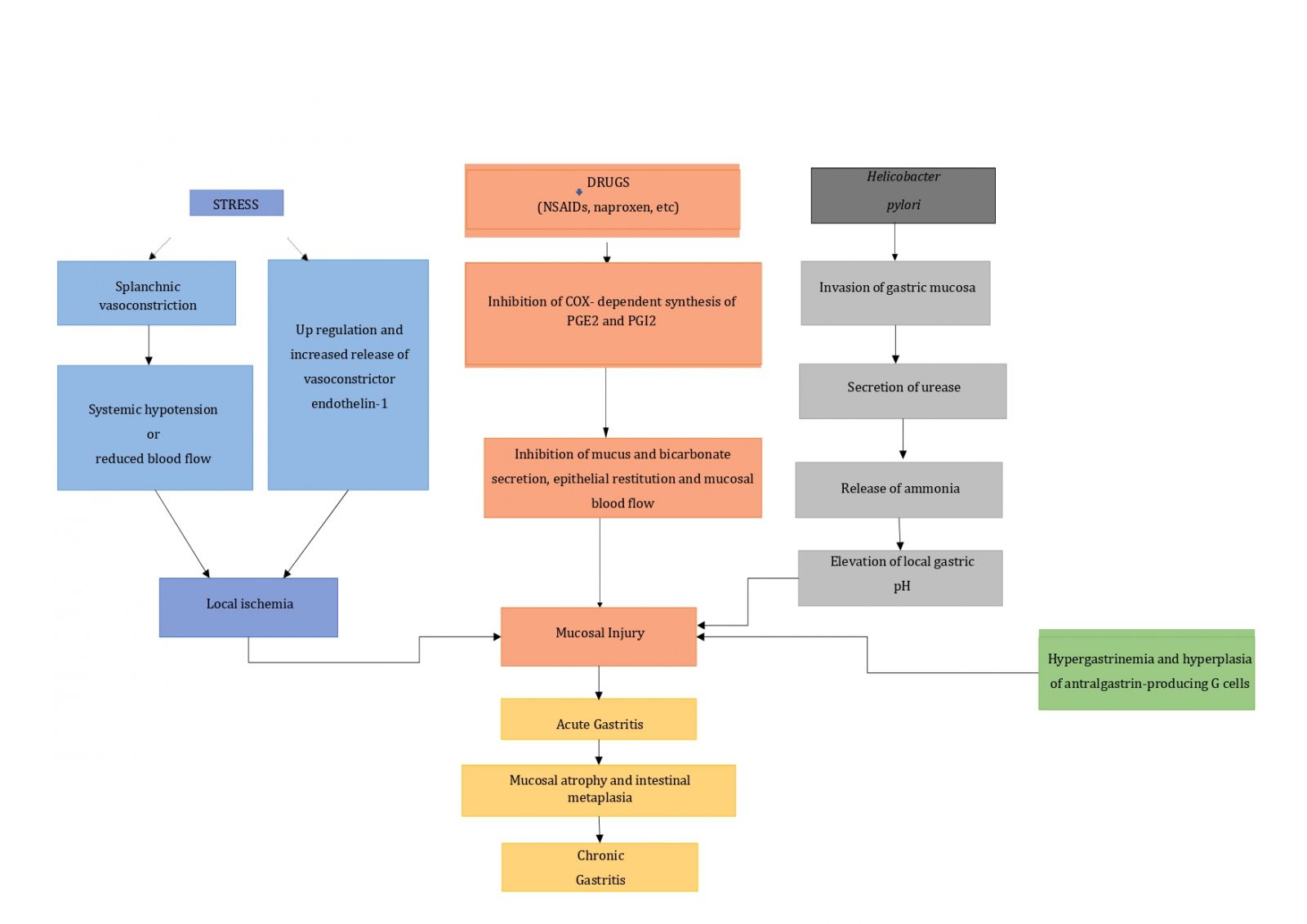 Gastritis in Young Adults, the Evil in Disguise A Review of Literature